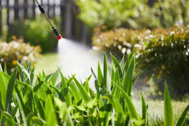 24/7 Emergency Cockroach Control experts in Monroe, UT