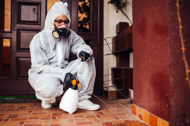 Reliable Cockroach Control contractor in Monroe, UT by Nex Pest Control